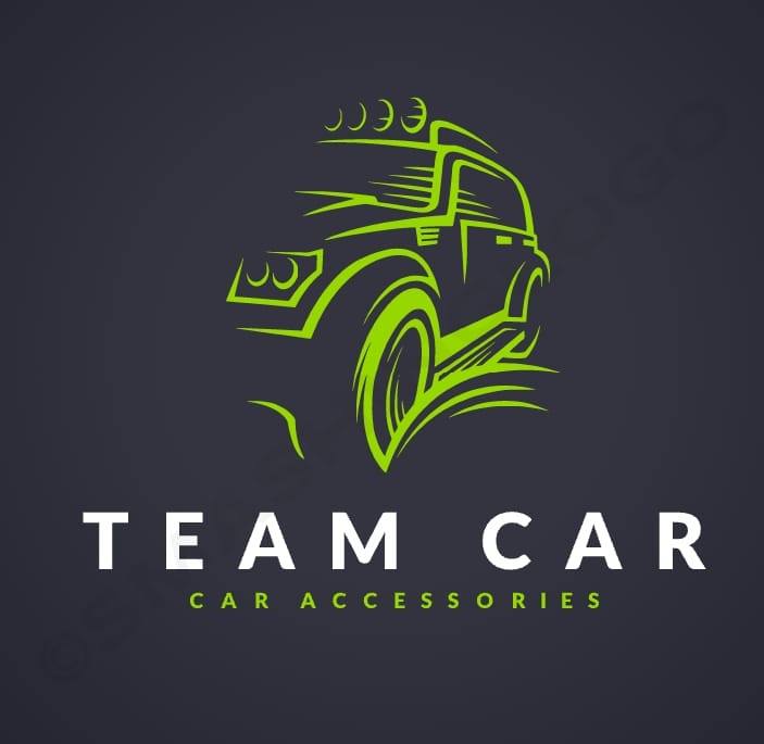 Team car logo