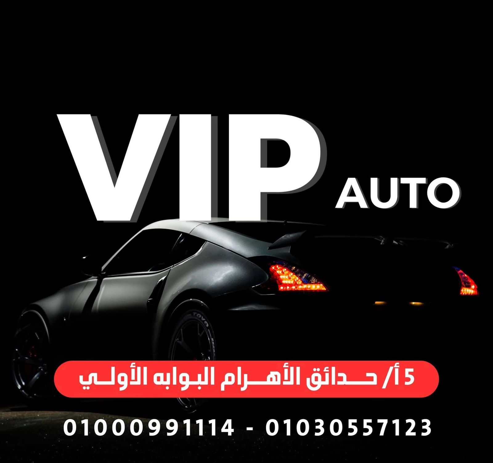VIP Auto logo